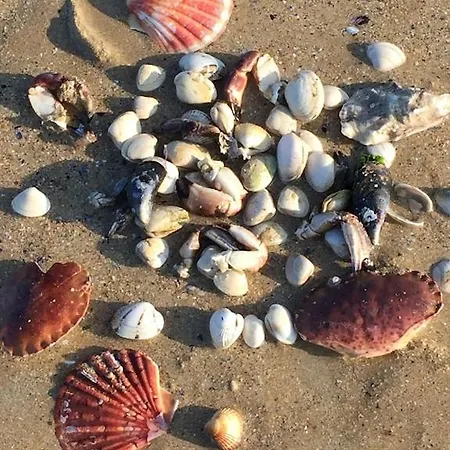 펜션 Les Volets Bleus-charmante Maison Entierement Equipee Face A La Pour 2 A 6 Personnes *