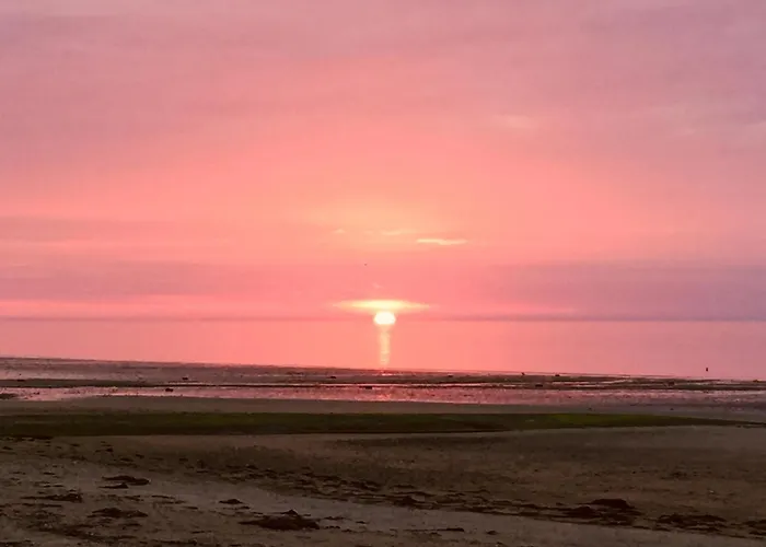 Ferienhaus Les Volets Bleus-charmante Maison Entierement Equipee Face A La Pour 2 A 6 Personnes